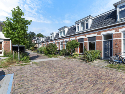 Steijnstraat 13
