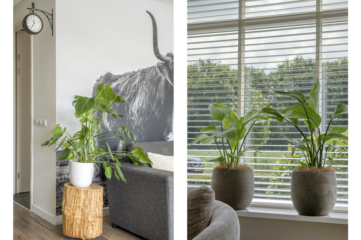 Tussenwoning te koop: Reininkstraat 11, Balkbrug