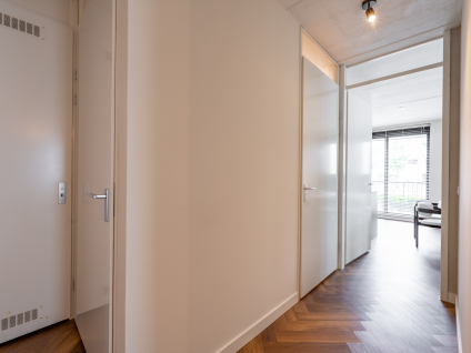 Morriganstraat 13