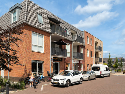 Haven 16