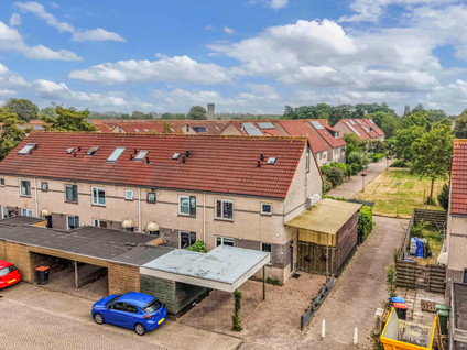 Wolgastraat 11