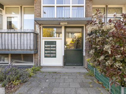 Twickelstraat 39