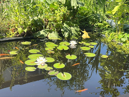 Badlaan 29A
