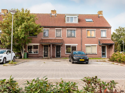 Hoefblad 164