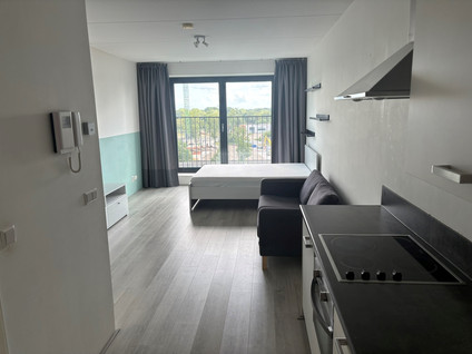 Welnastraat 517
