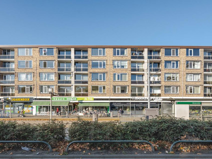 Molenvliet 115
