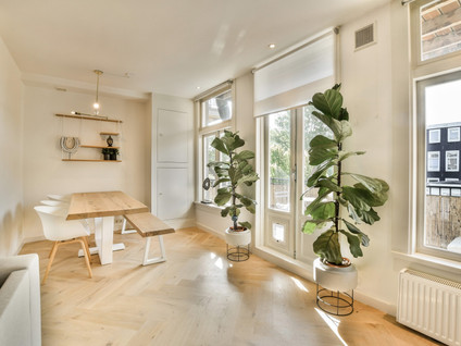 Govert Flinckstraat 296 2