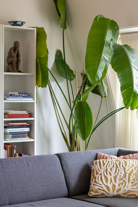 Appartement te koop: Vechtstraat 16A, Zwolle