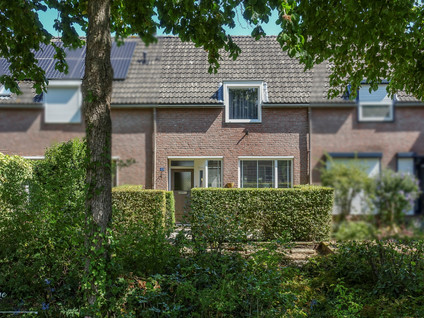 Dotterbloemstraat 20