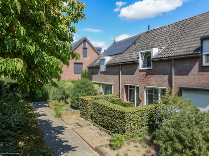 Dotterbloemstraat 20