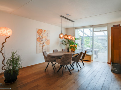 Dotterbloemstraat 20
