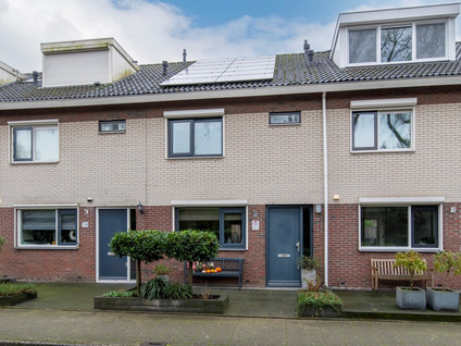 Vliegezwam 96