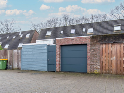Vliegezwam 96