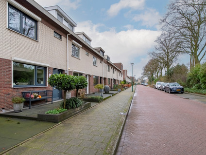 Vliegezwam 96