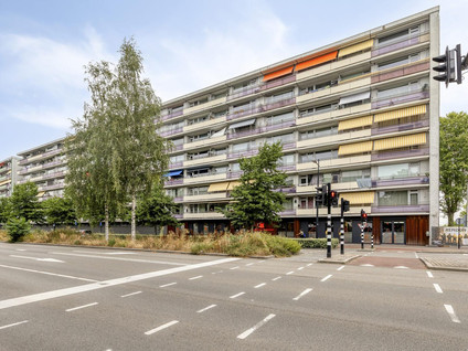 Hart van Brabantlaan 447