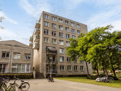 Teldershof 56