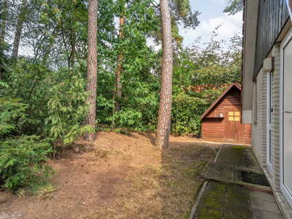 Calluna Oost 63