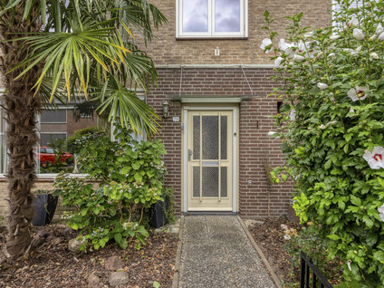 Albardastraat 79