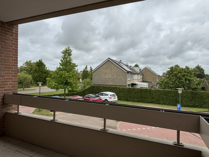 Grote Beer 8 022