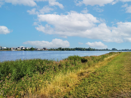 Veerdam 41