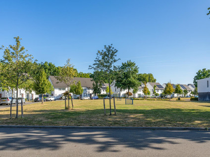 Magnolia 33