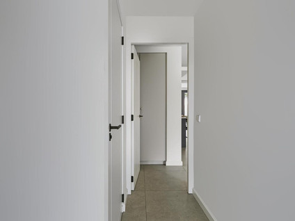 Koekelberg 13