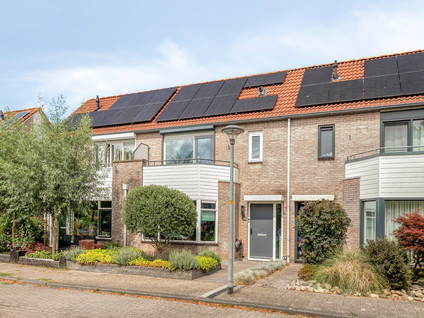Schokker 36