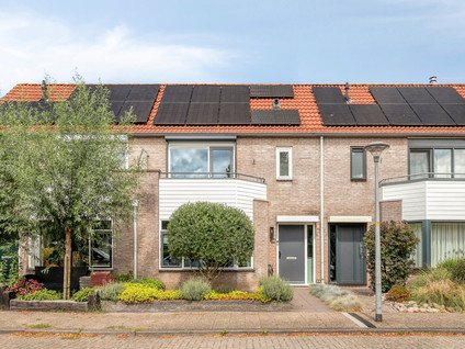 Schokker 36