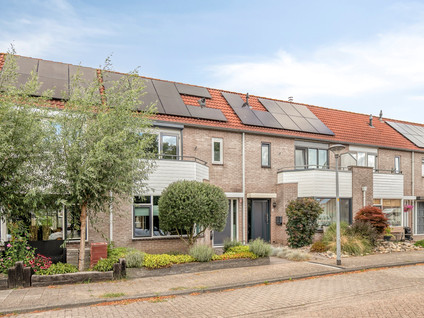 Schokker 36