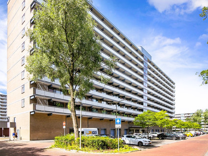 Groenhof 13