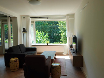 De Lairesselaan 10