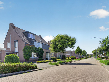 Iepenlaan 26