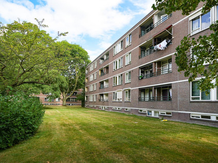 Bredenoord 181