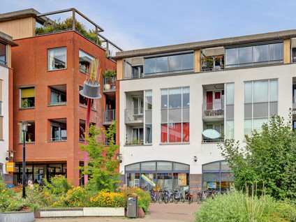Hoog Maanen 36