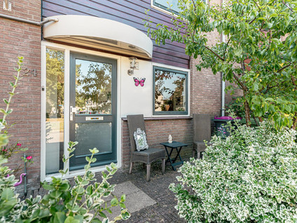Zegge 24