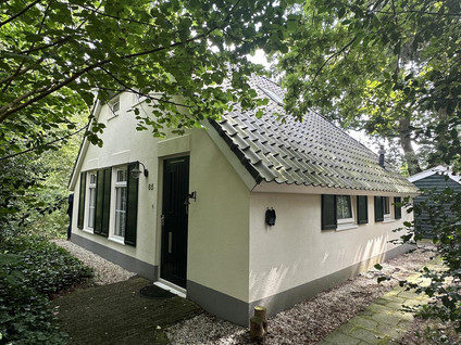De Witte Bergen 65