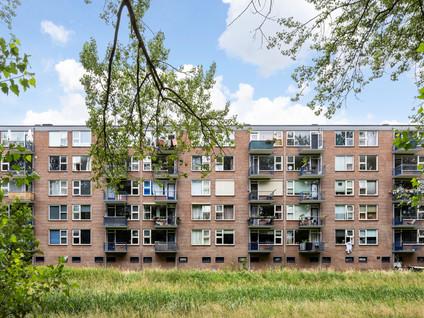 Berkenlaan 375