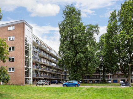 Berkenlaan 375