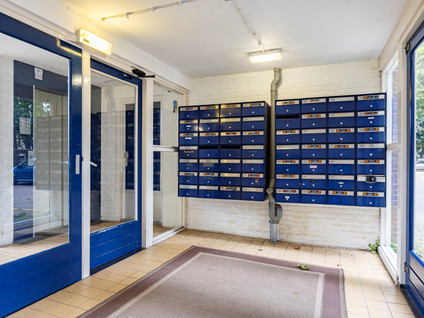 Berkenlaan 375