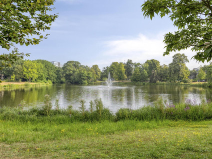 Wilhelminapark 52B