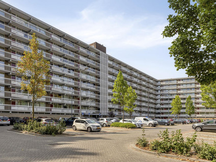 Zernikeplaats 134