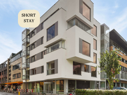 Rentmeesterstraat 54B