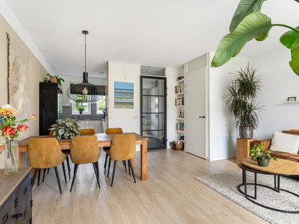 Van Raemdonckstraat 50