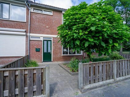 Kneustraat 11
