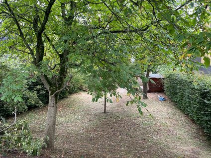 Winterdijk 