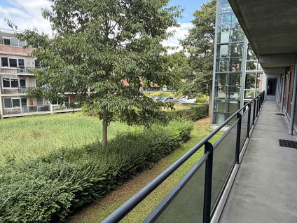 Westerpark 65