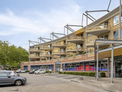 Dillehof 41
