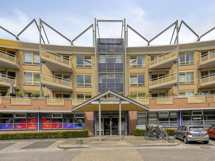 Dillehof 41