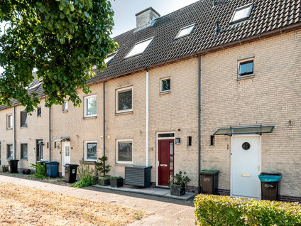 Waalstraat 55