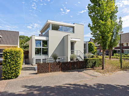 Sint Jansbloem 38